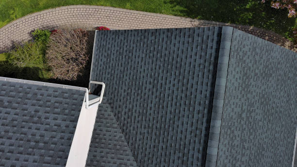 Best Roof Maintenance and Cleaning  in Taylors Falls, MN